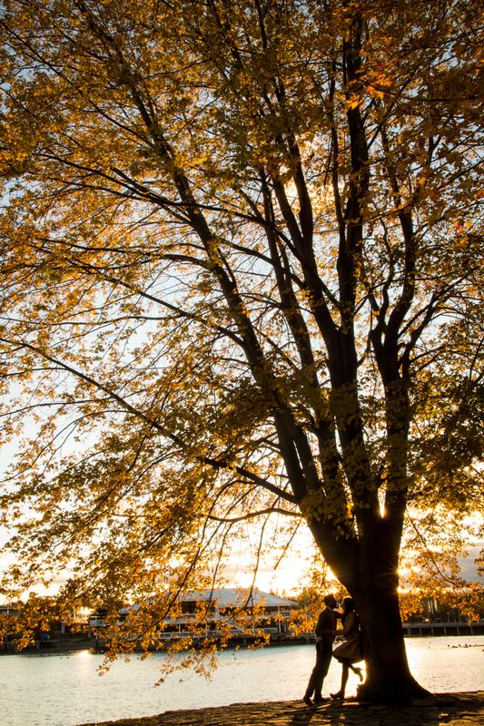 Koppel in de herfst bij een grote boom